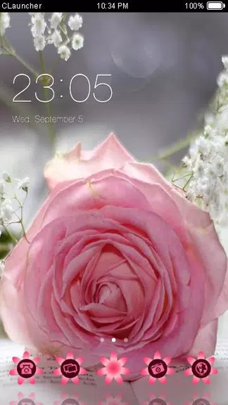 Screenshot Pretty Pink Rose Theme 0