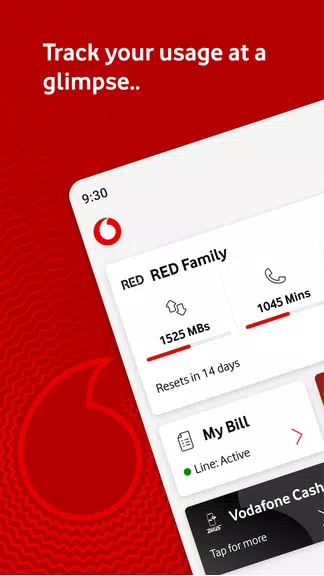 Ana Vodafone ảnh chụp màn hình 0