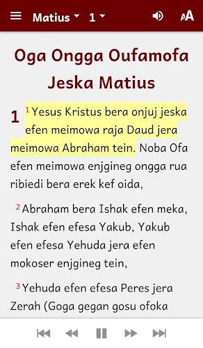 Meyah Bible экрана 2