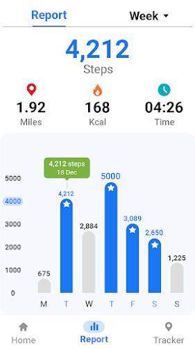 Pedometer - Step Tracker Screenshot 2