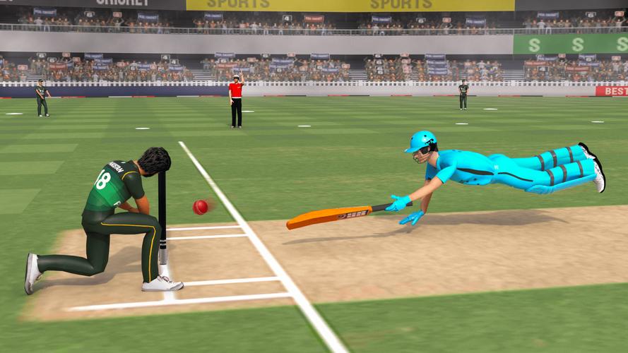 Real World Cricket Games Screenshot 1