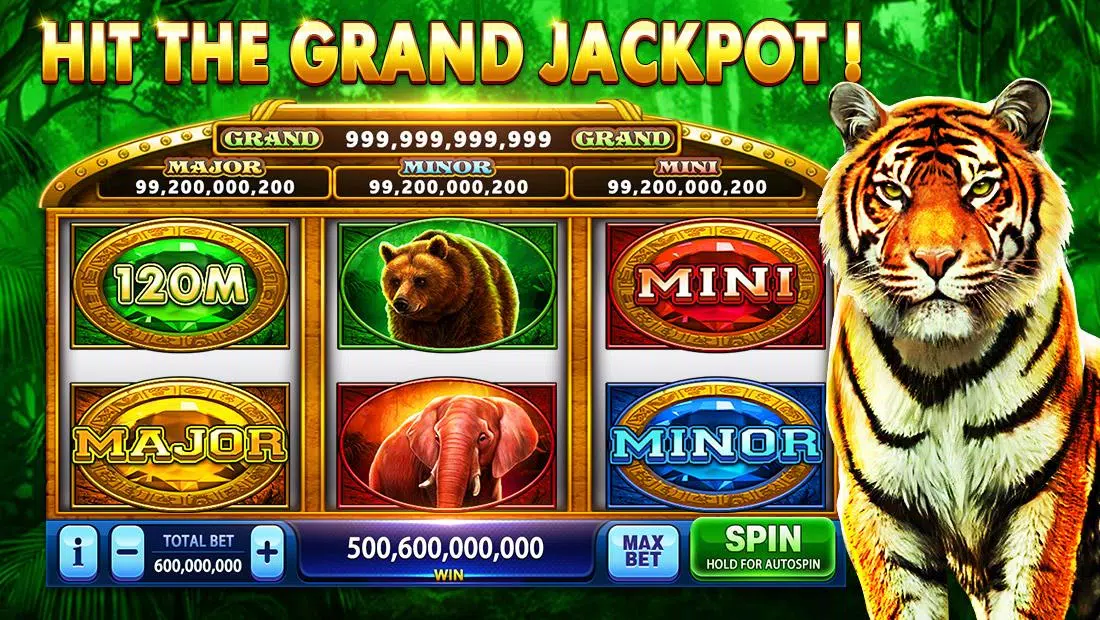 Pirate Fortune Slots Casino capture d’écran 3