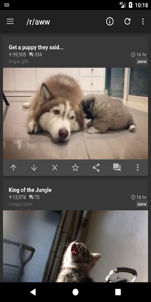 ภาพหน้าจอ rif is fun for Reddit 2