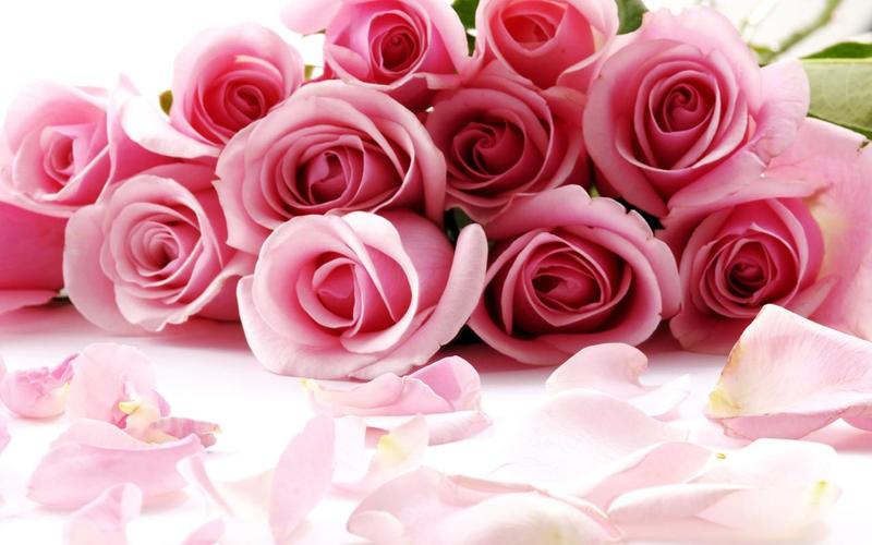Roses Jigsaw Puzzles capture d’écran 2