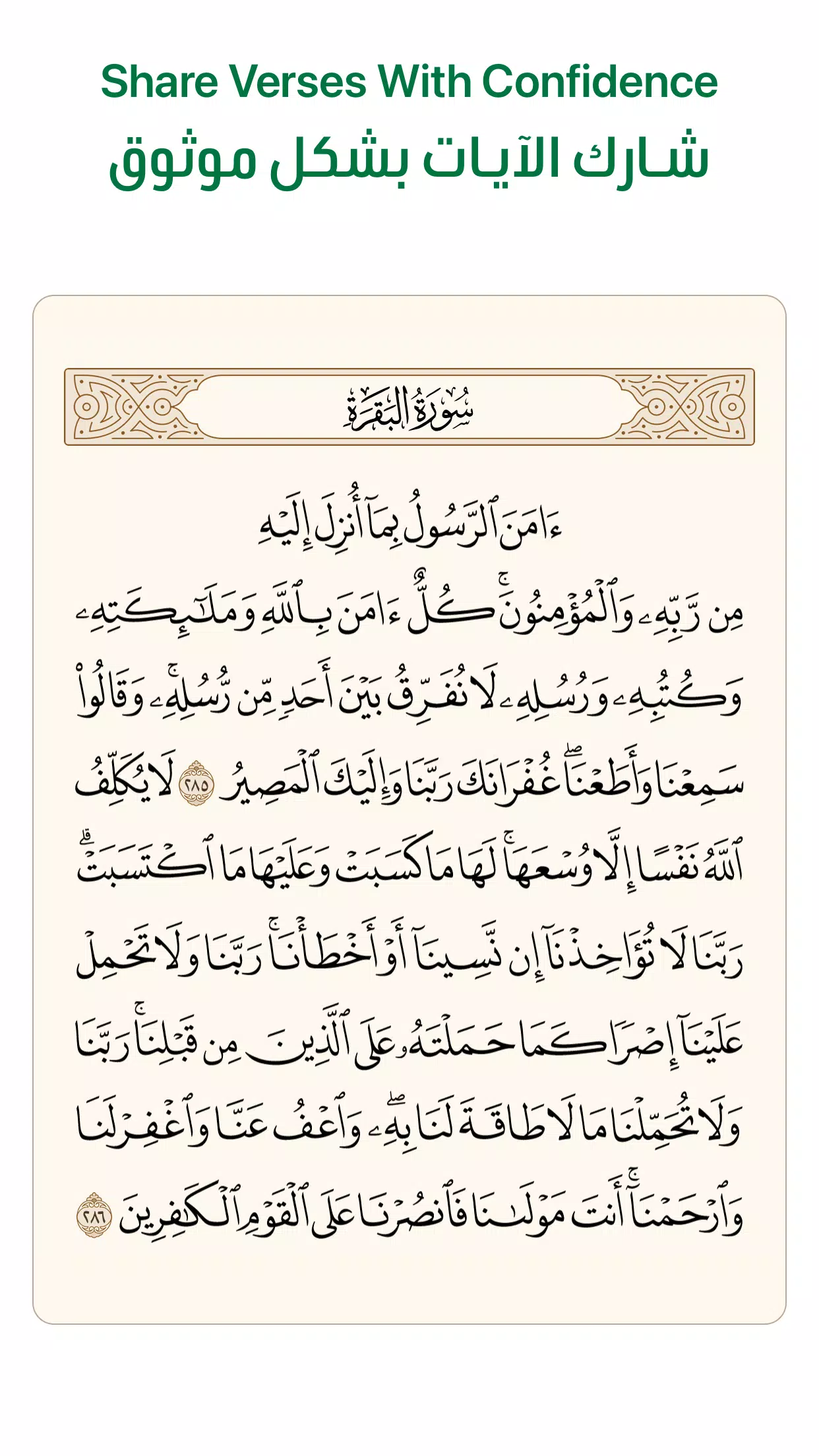 Ayah screenshot 3