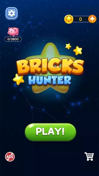 Bricks Hunter : Cube Puzzle ภาพหน้าจอ 0