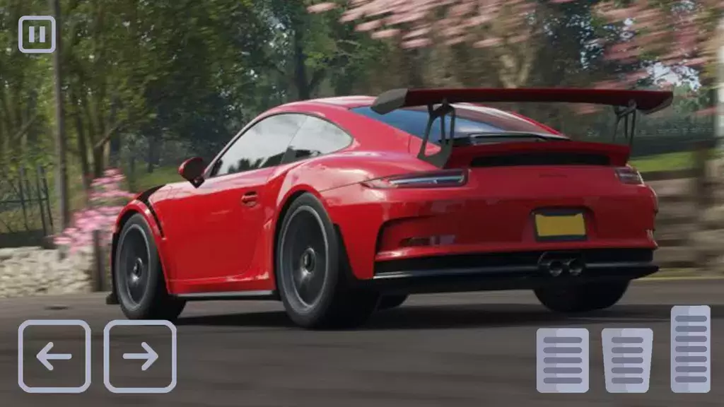 Racing Porsche Carrera 911 GT3 Ekran Görüntüsü 3