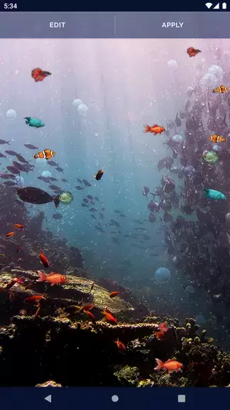 Ocean Fish Live Wallpaper 4K captura de pantalla 3