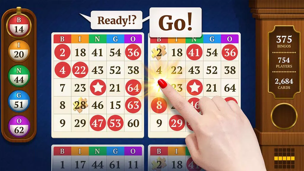 Power Bingo: Free Casino Games captura de pantalla 0