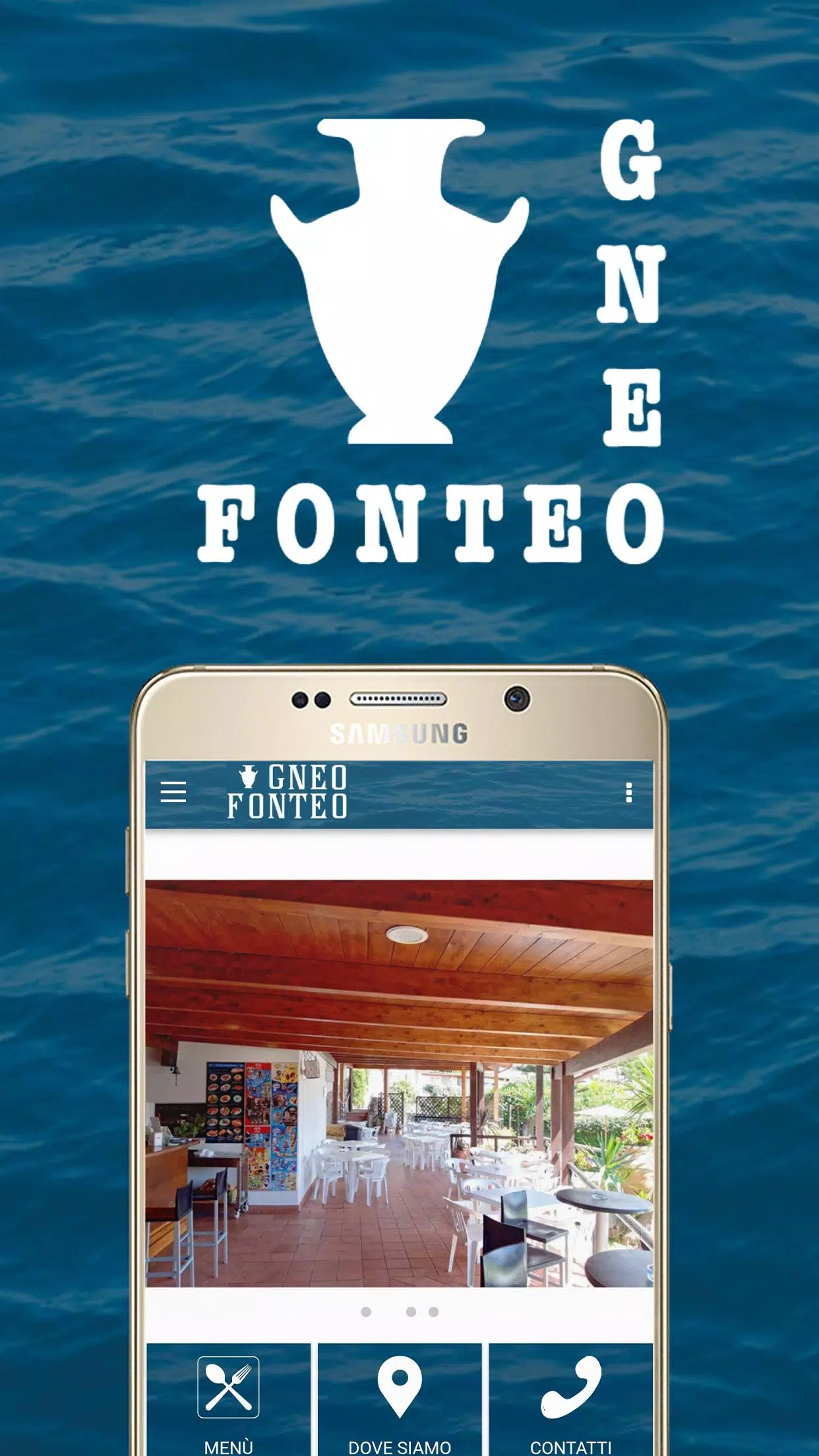 Gneo Fonteo屏幕截圖0
