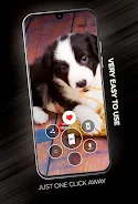 Puppies Wallpapers in 4K ကိုဖန်သားပြင်1