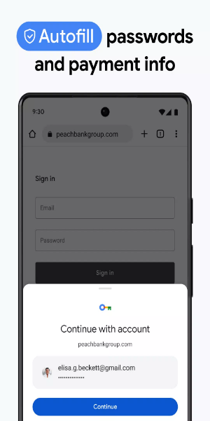 Google Chrome экрана 2