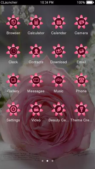 Pretty Pink Rose Theme ကိုဖန်သားပြင်1