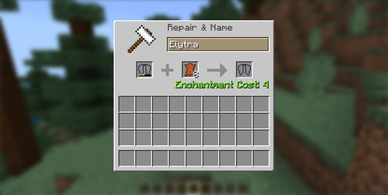 ซ่อมแซม elytra