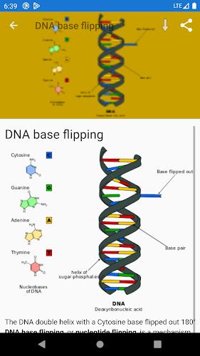 ภาพหน้าจอ Molecular biology 3