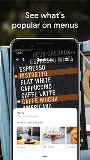 Google Lens ảnh chụp màn hình 1