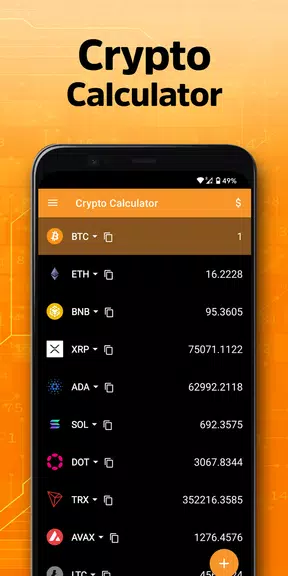 Crypto Calculator captura de pantalla 2