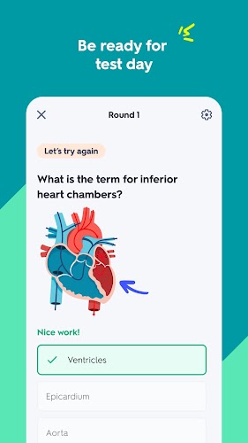 Quizlet: AI-powered Flashcards zrzut ekranu 2