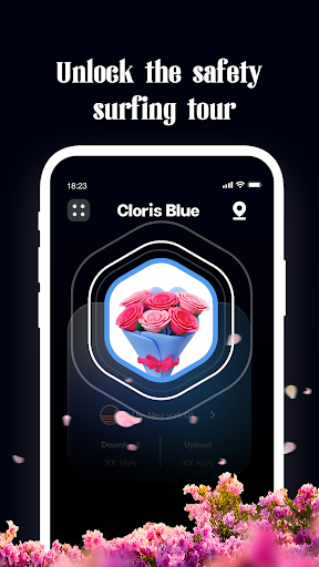 Screenshot Cloris Blue VPN 0