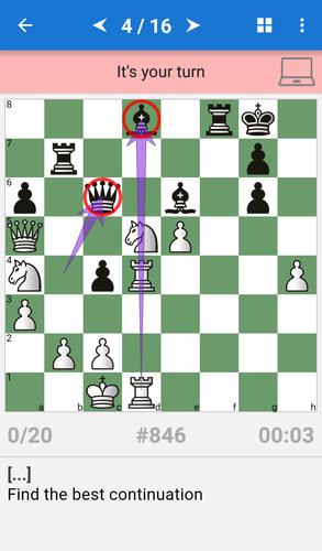 Chess Middlegame II屏幕截圖1