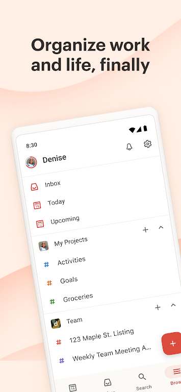 Todoist Screenshot 0