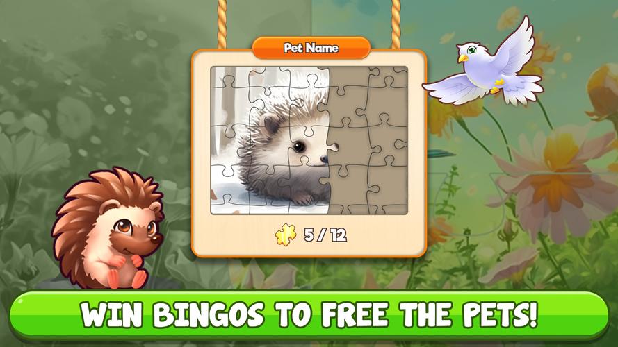 Bingo:  Free the Pets ကိုဖန်သားပြင်2