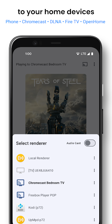 BubbleUPnP for DLNA/Chromecast Mod ekran görüntüsü 1
