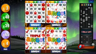 Absolute Bingo экрана 2
