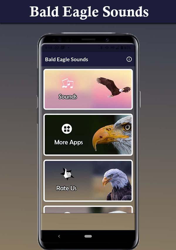 Bald Eagle Sounds屏幕截圖2