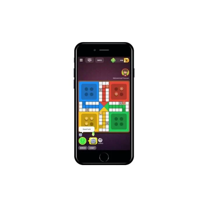 Ace Zain Ludo screenshot 1
