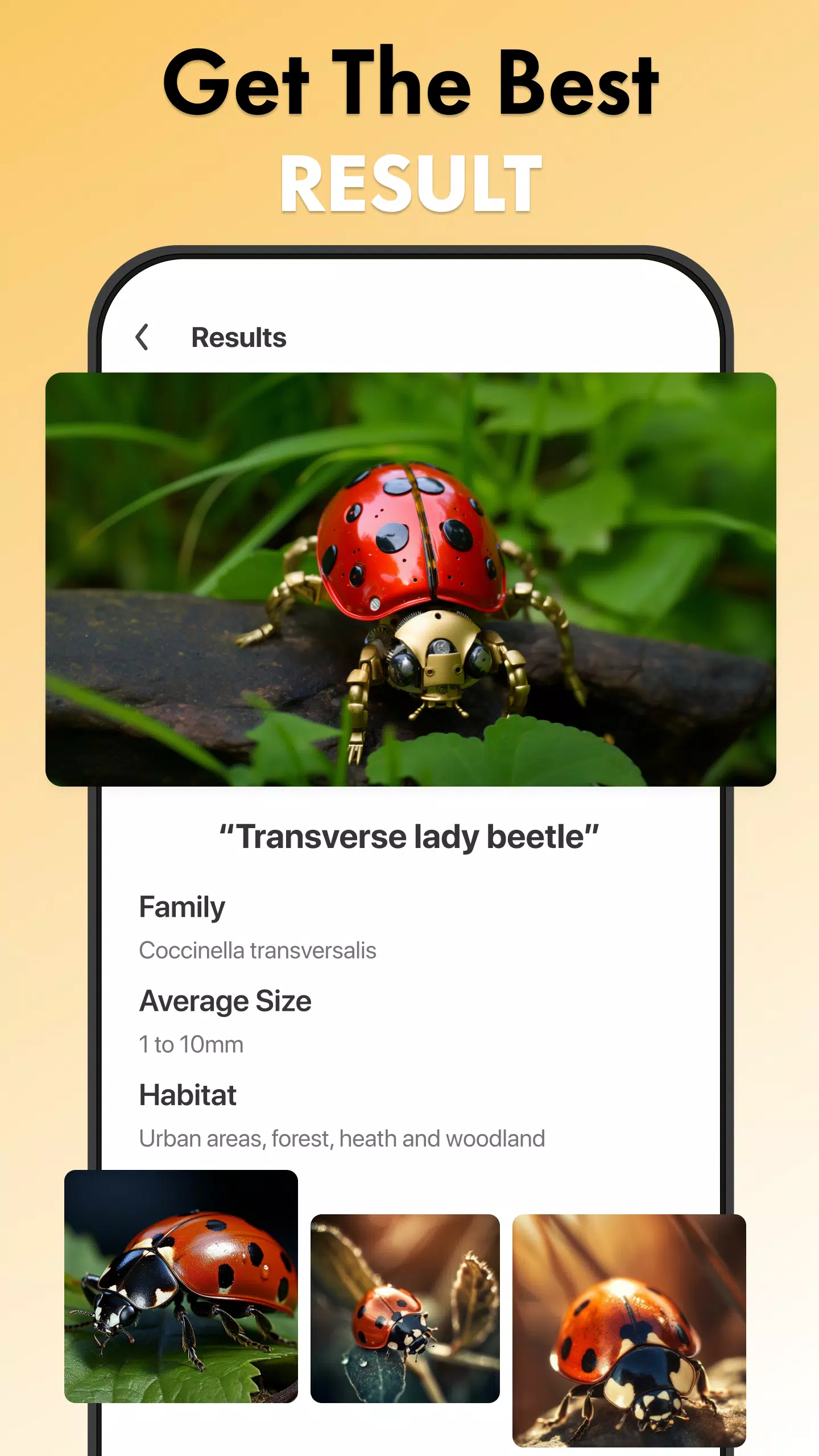 Screenshot Insect Identifier Bug Identify 2