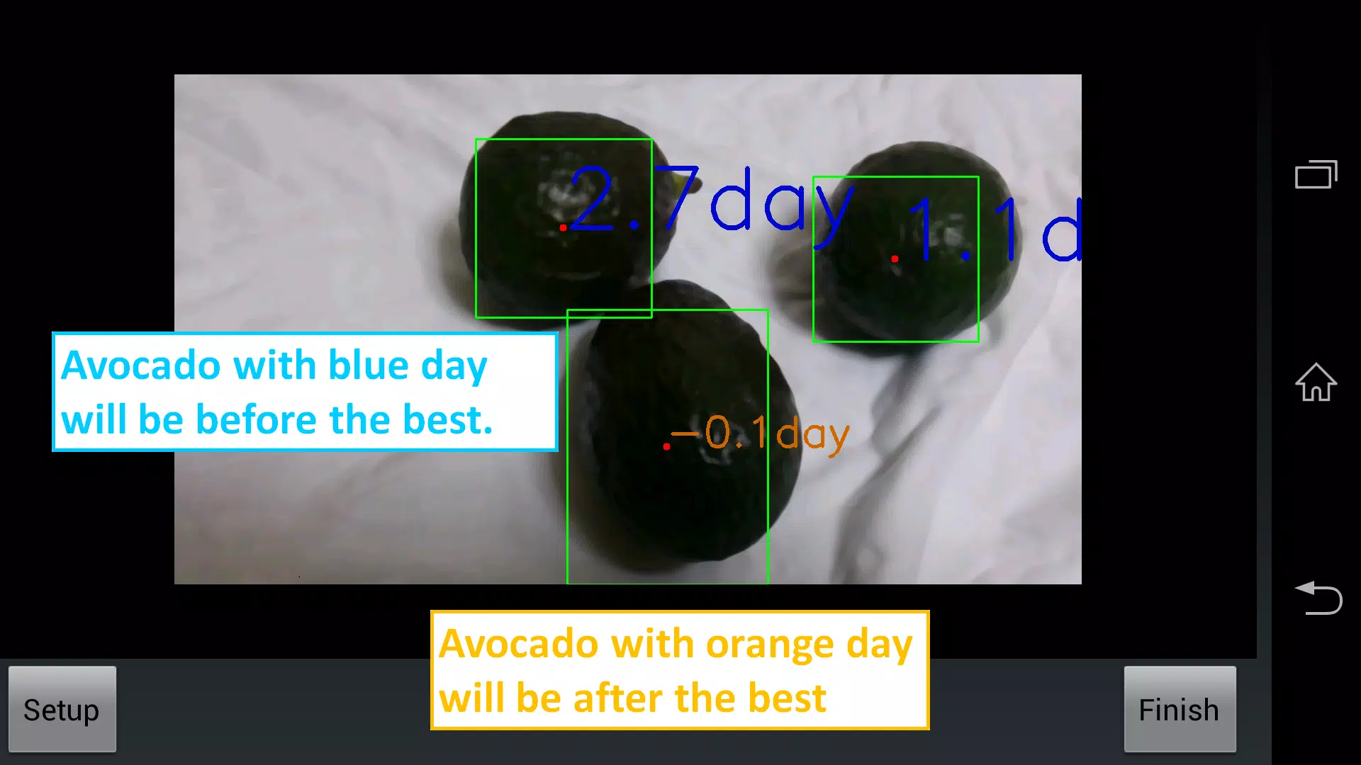 Avocado Checker экрана 3