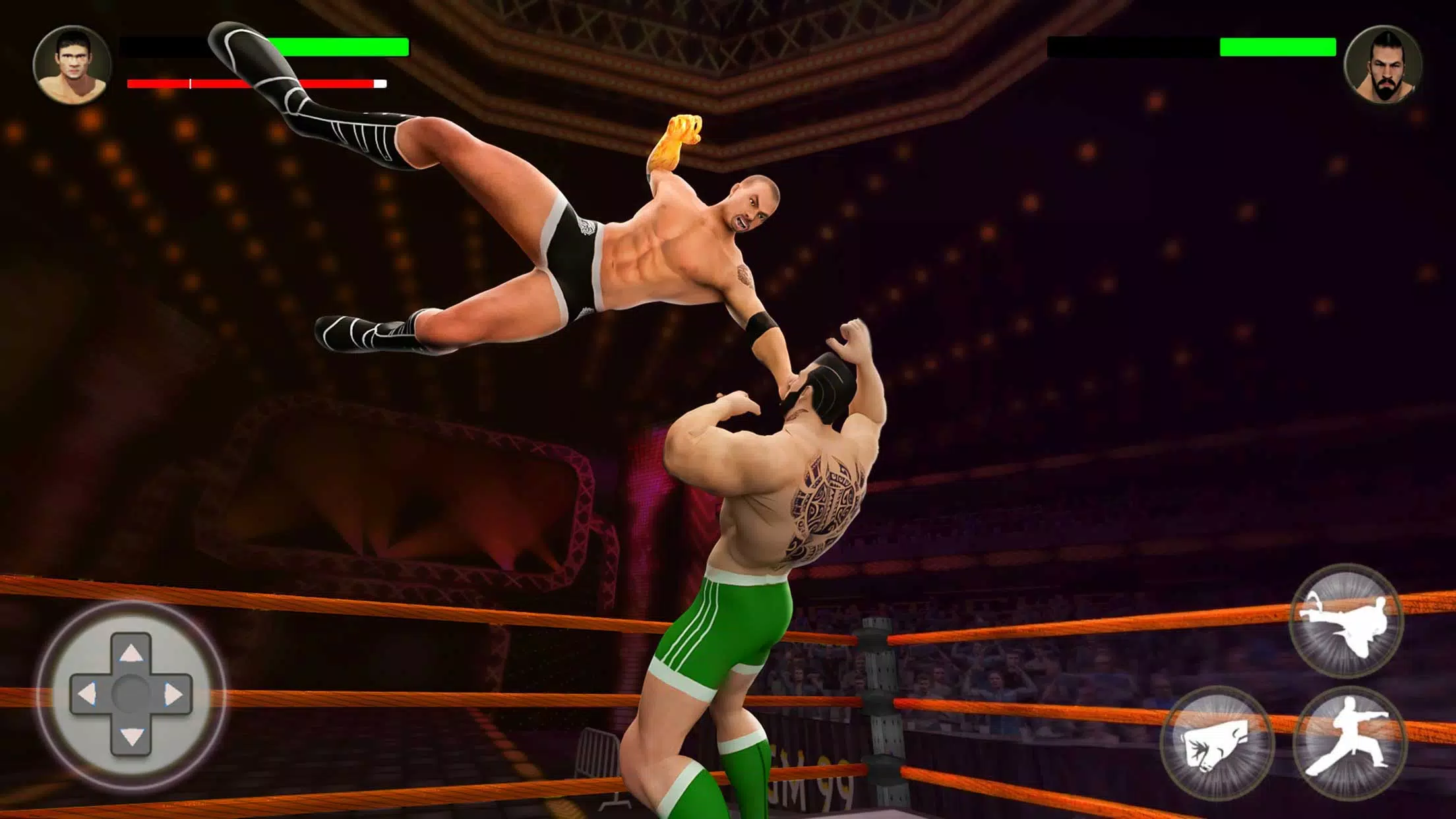 Screenshot PRO Wrestling Fighting Game 0