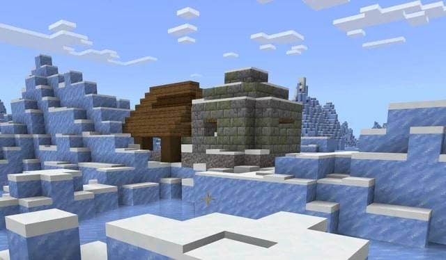 Minecraft Snow Biome Samen