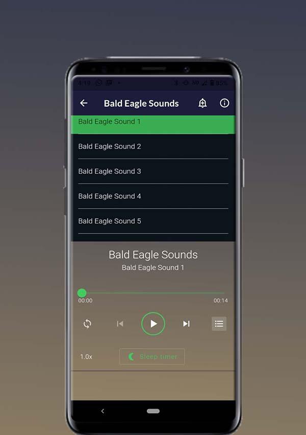 Bald Eagle Sounds屏幕截圖0