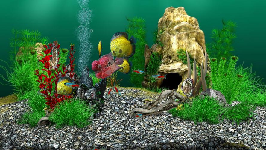 AquaLife 3D屏幕截圖3