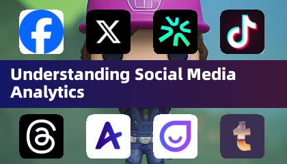 Understanding Social Media Analytics