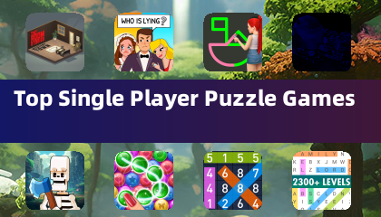 Top Single Player Puzzle Games